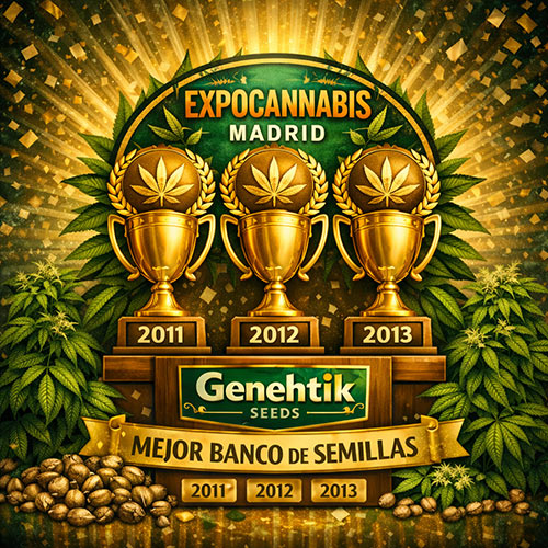 Trois coupes Genehtik Seeds, Meilleure banque de graines à ExpoCannabis Madrid 2011, 2012 et 2013